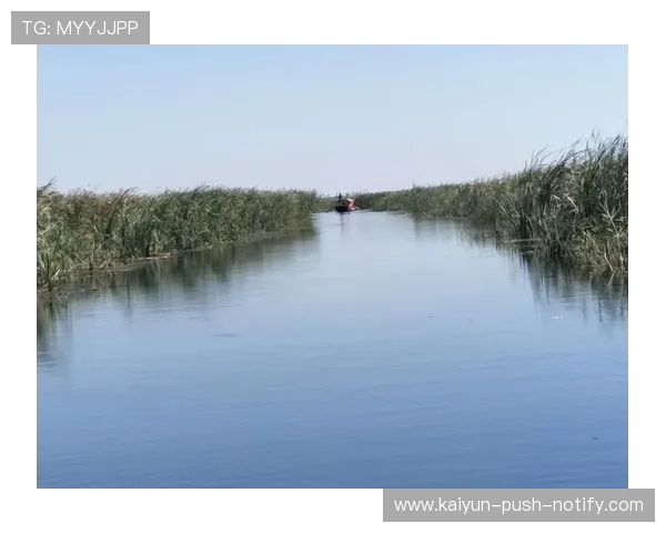 开云聚焦2026世界杯高水让球规则爆冷前瞻 开云聚焦2026世界杯高水让球规则爆冷前瞻